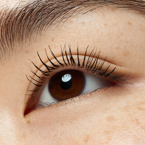 lash WITHOUT LIMITS WATERPROOF EXTREME LENGTHENING & VOLUME MASCARA