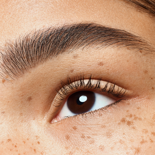 brow powder duo set