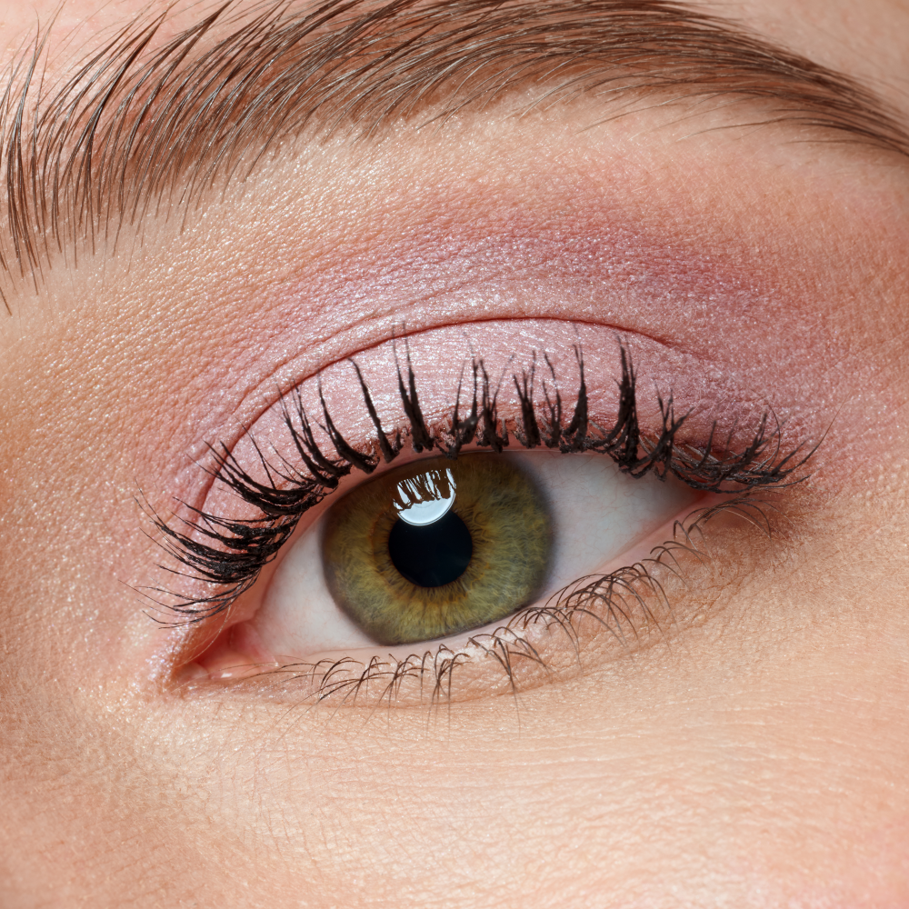 the MAUVE edition mini eyeshadow palette