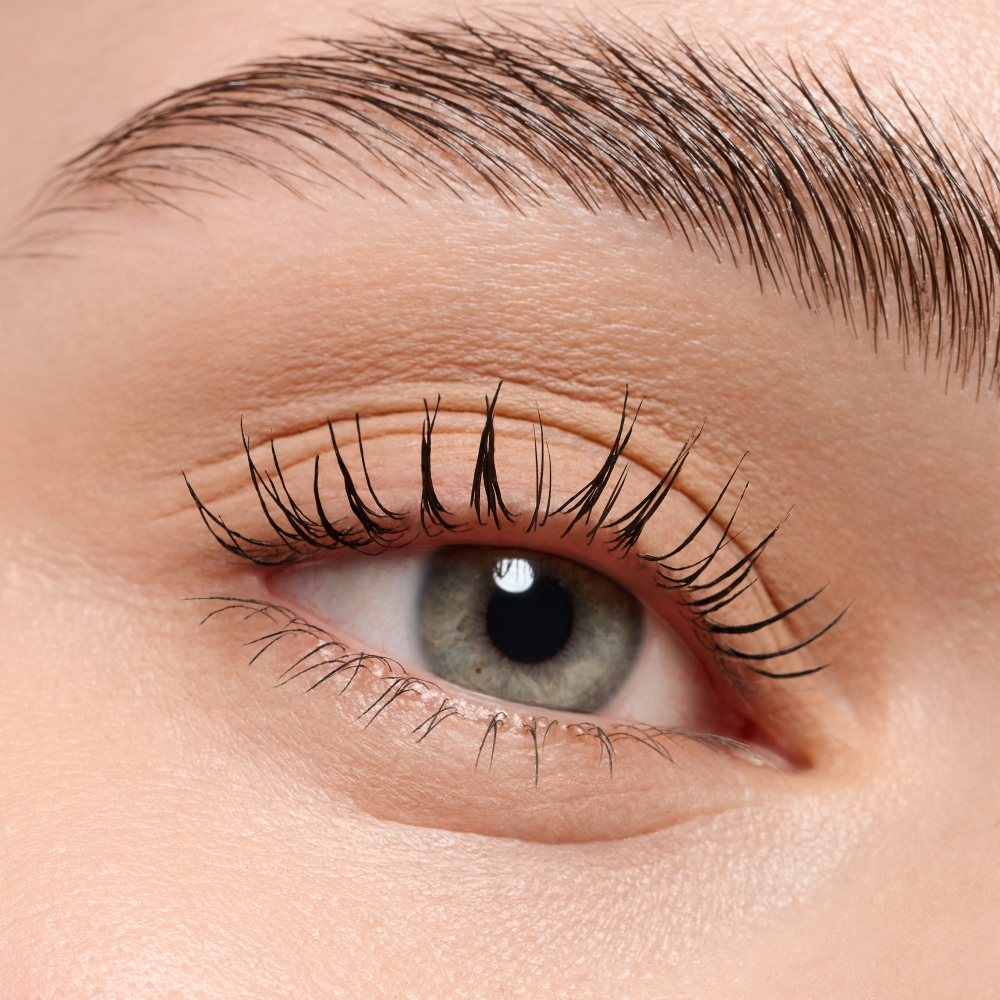 Neutral Brown